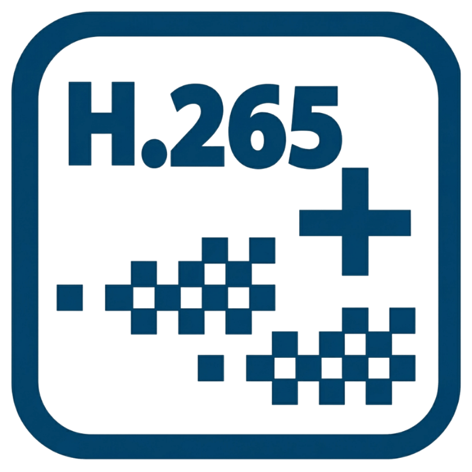 H265